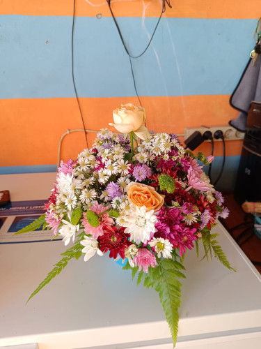 Bunga Meja kotawaringintimur